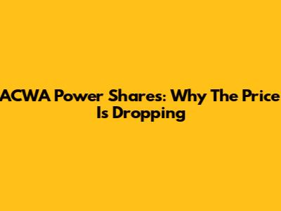 ACWA Power Shares: Why The Price Is Dropping