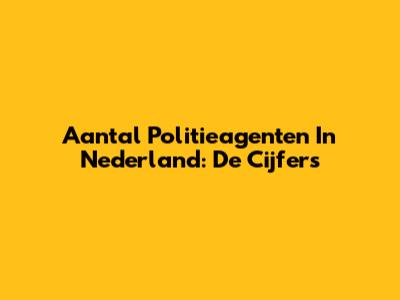 Aantal Politieagenten In Nederland: De Cijfers