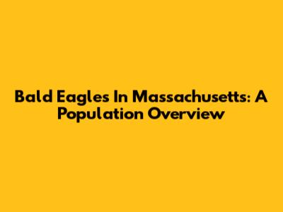 Bald Eagles In Massachusetts: A Population Overview