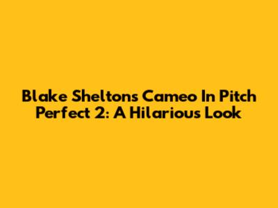 Blake Shelton's Cameo In Pitch Perfect 2: A Hilarious Look