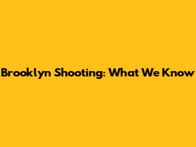 Brooklyn Shooting: What We Know