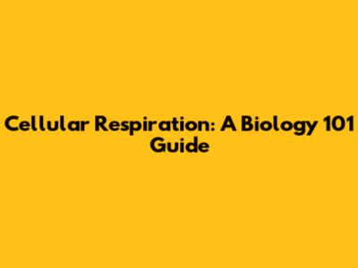 Cellular Respiration: A Biology 101 Guide
