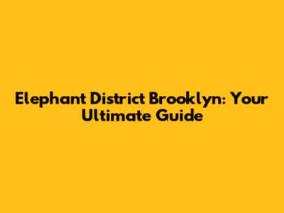 Elephant District Brooklyn: Your Ultimate Guide