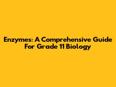 Enzymes: A Comprehensive Guide For Grade 11 Biology