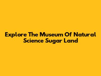 Explore The Museum Of Natural Science Sugar Land