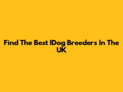 Find The Best IDog Breeders In The UK