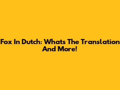 Fox In Dutch: What's The Translation And More!