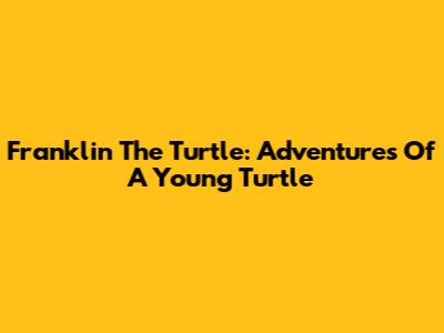 Franklin The Turtle: Adventures Of A Young Turtle