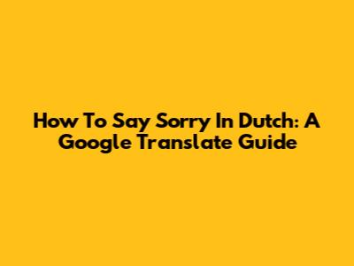 How To Say Sorry In Dutch: A Google Translate Guide