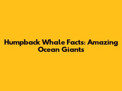 Humpback Whale Facts: Amazing Ocean Giants