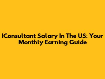 IConsultant Salary In The US: Your Monthly Earning Guide