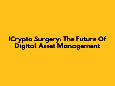 ICrypto Surgery: The Future Of Digital Asset Management