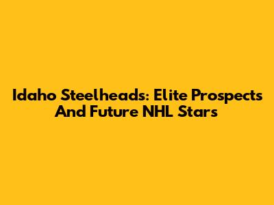 Idaho Steelheads: Elite Prospects And Future NHL Stars