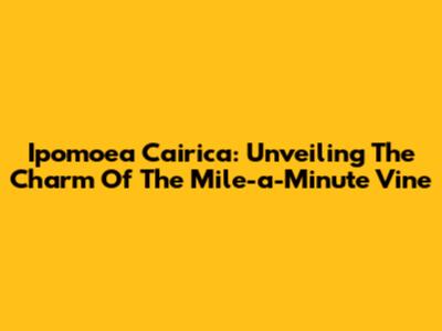 Ipomoea Cairica: Unveiling The Charm Of The Mile-a-Minute Vine