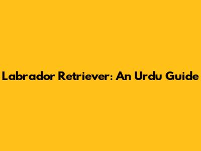 Labrador Retriever: An Urdu Guide