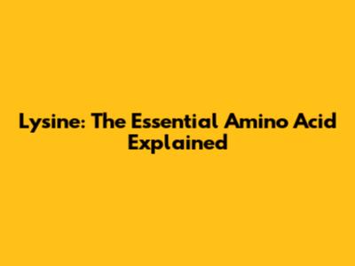 Lysine: The Essential Amino Acid Explained