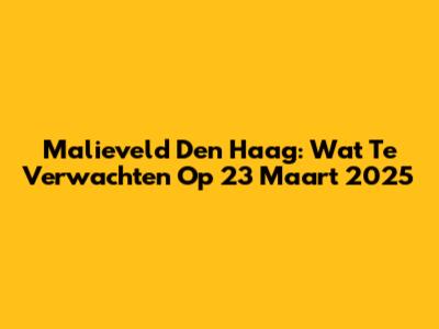 Malieveld Den Haag: Wat Te Verwachten Op 23 Maart 2025