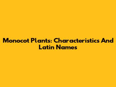 Monocot Plants: Characteristics And Latin Names