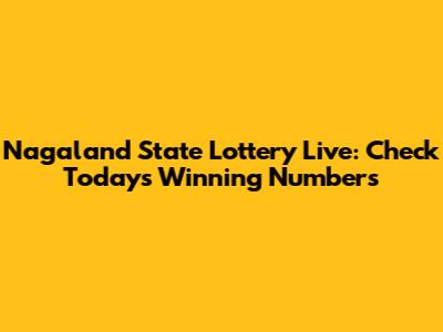 Nagaland State Lottery Live: Check Today's Winning Numbers