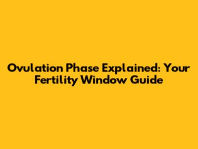Ovulation Phase Explained: Your Fertility Window Guide