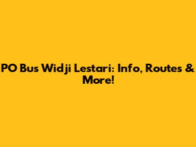 PO Bus Widji Lestari: Info, Routes & More!