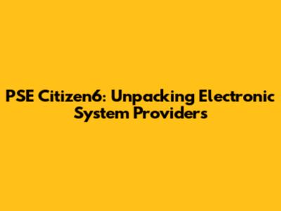 PSE Citizen6: Unpacking Electronic System Providers