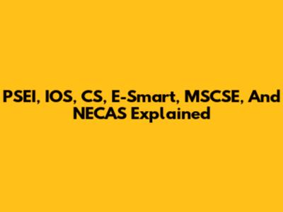 PSEI, IOS, CS, E-Smart, MSCSE, And NECAS Explained