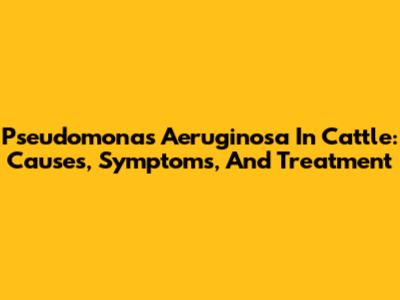 Pseudomonas Aeruginosa In Cattle: Causes, Symptoms, And Treatment