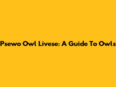 Psewo Owl Livese: A Guide To Owls