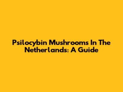 Psilocybin Mushrooms In The Netherlands: A Guide