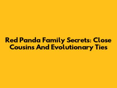 Red Panda Family Secrets: Close Cousins And Evolutionary Ties