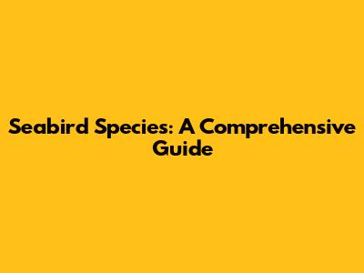 Seabird Species: A Comprehensive Guide