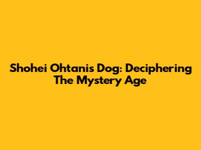 Shohei Ohtani's Dog: Deciphering The Mystery Age