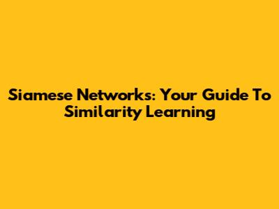 Siamese Networks: Your Guide To Similarity Learning