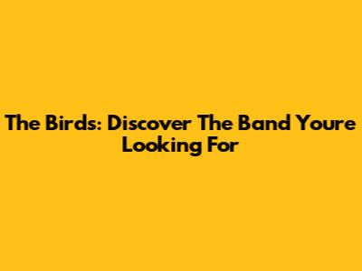 The Birds: Discover The Band You're Looking For