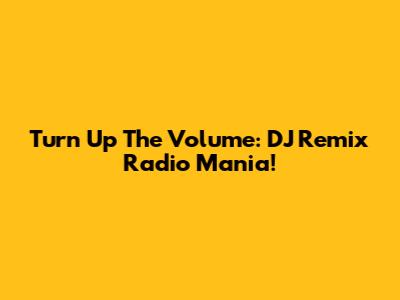 Turn Up The Volume: DJ Remix Radio Mania!