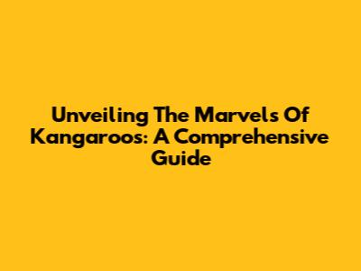 Unveiling The Marvels Of Kangaroos: A Comprehensive Guide