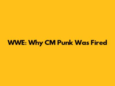 WWE: Why CM Punk Was Fired