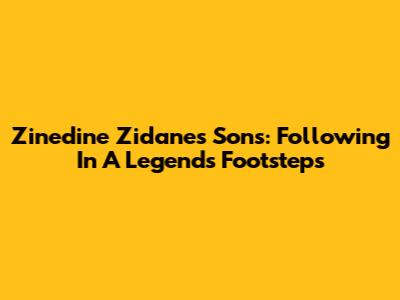 Zinedine Zidane's Sons: Following In A Legend's Footsteps